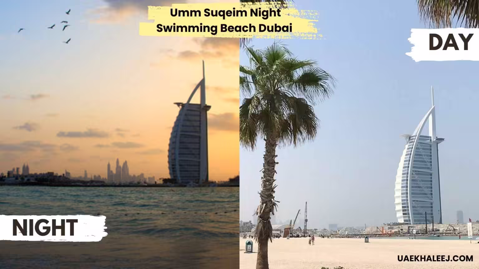 umm suqeim night swimming beach dubai​