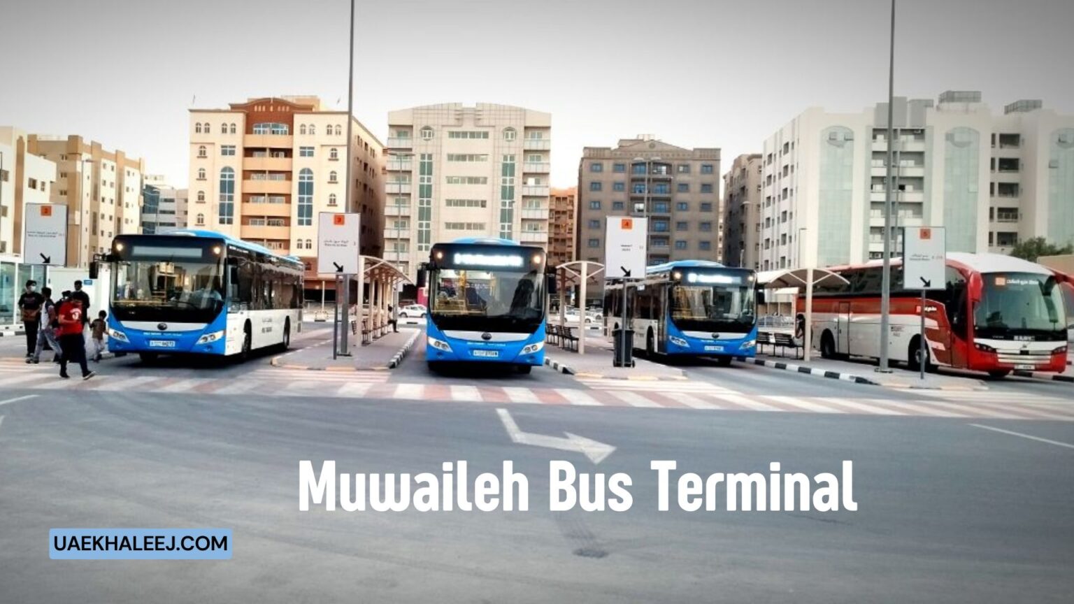 Muwaileh Bus Terminal: Timings and List of Bus Route 2026 muwaileh bus terminal