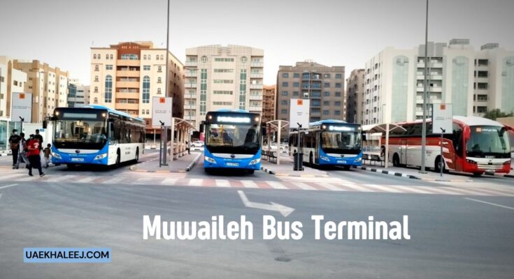 muwaileh bus terminal