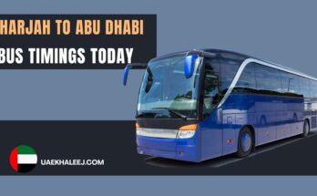 sharjah to abu dhabi bus timings