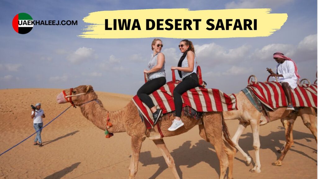 Desert Safari and Dune Bashing