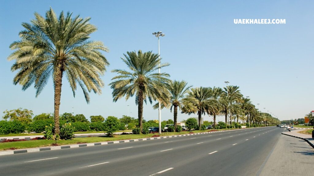 Al Khaleej Street Dubai