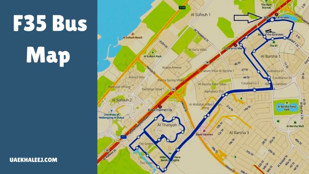 F35 Bus Timetable