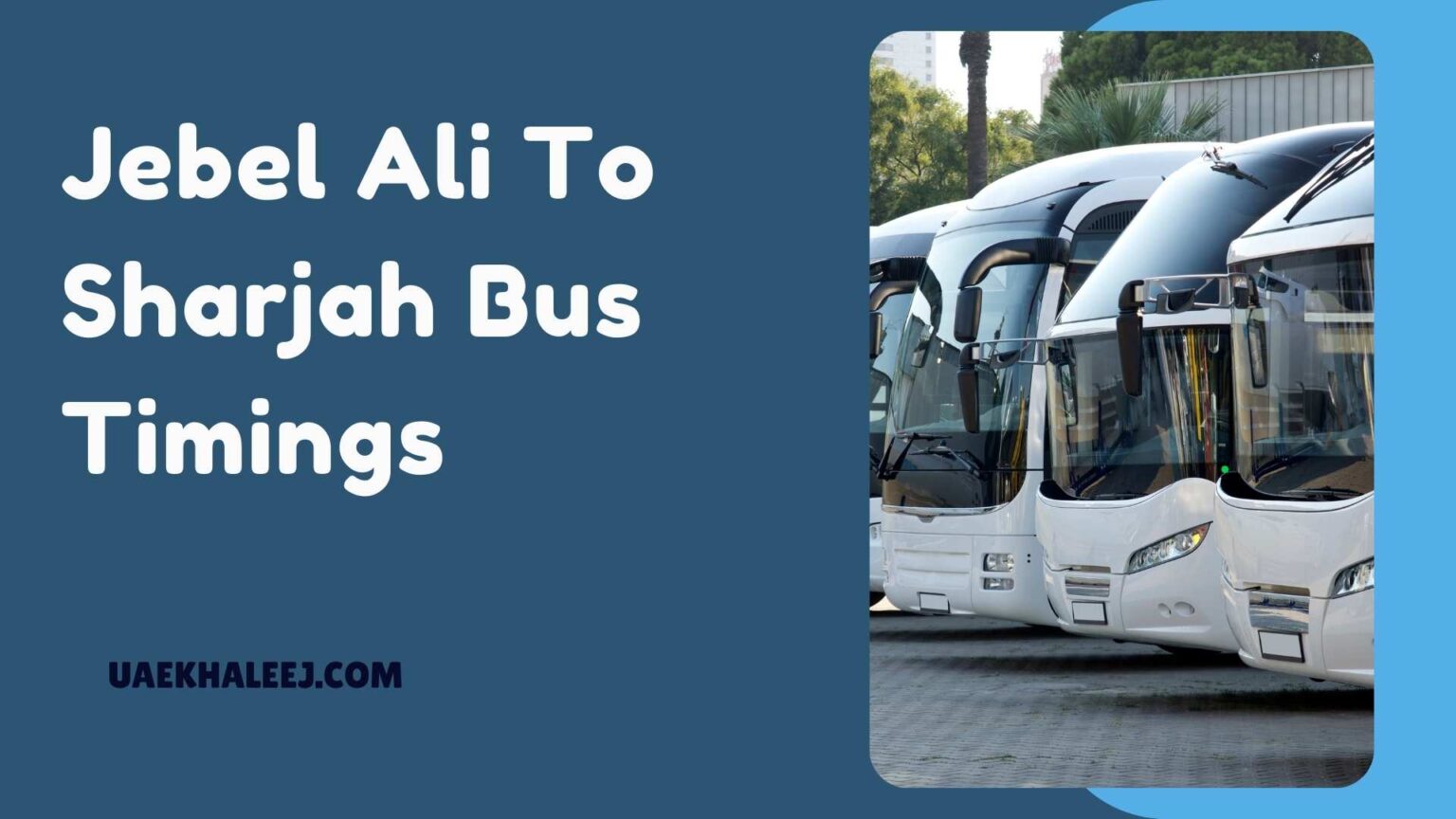 Jebel Ali To Sharjah Bus Timings Bus 308 Routes Fares