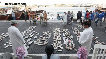 Ajman Fish Market