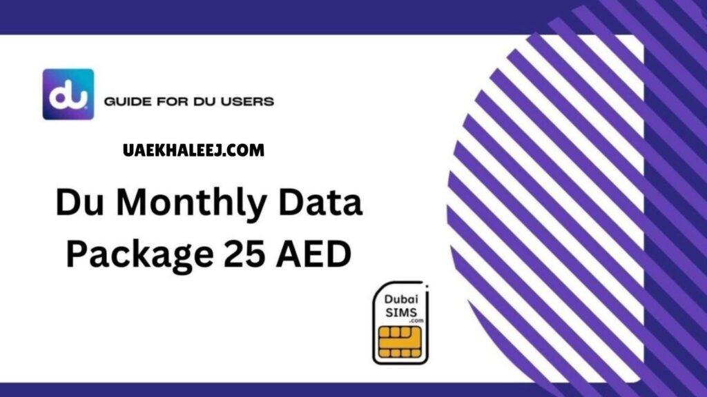 How to Monitor Your Data Usage on the Etisalat Monthly Data Package 25 AED