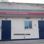 Rashid Hospital: Dubai Medical Miracle Surplus