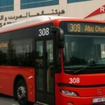 84 Bus Timetable: route, frequency and fares today