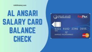 Al Ansari Balance Check