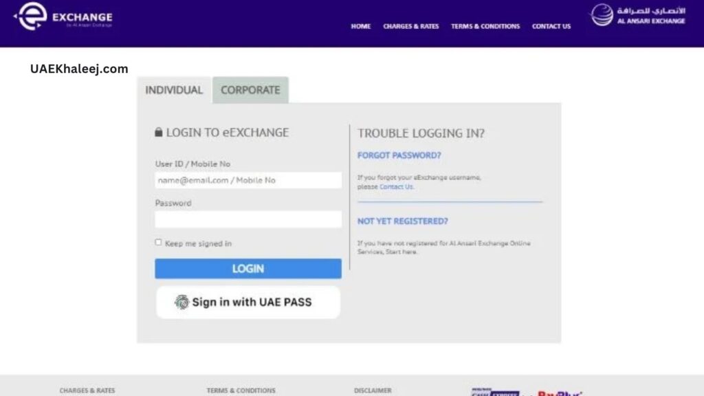 Step-by-Step Guide to Al Ansari Balance Check