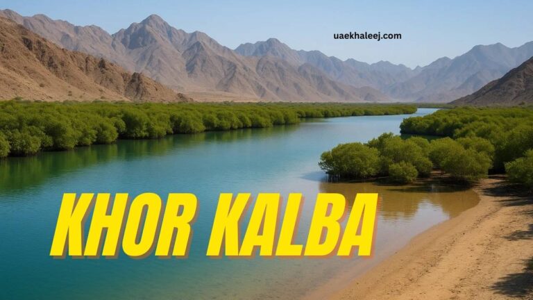 Khor Kalba Nature, History and Adventure Treasure Destination
