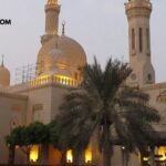 Ibn Battuta Bus Station: Routes, Timings, Fare