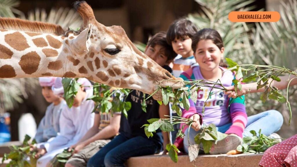 Why Kids Actually Love Staycations More Than You'd Think